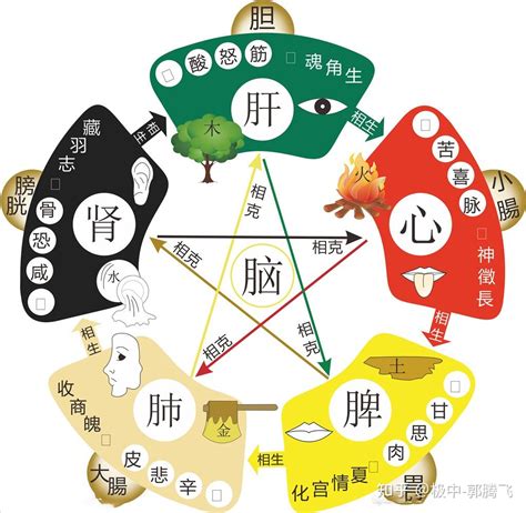 土克水意思|郭极中：解析五行（木、火、土、金、水）相克的理论。